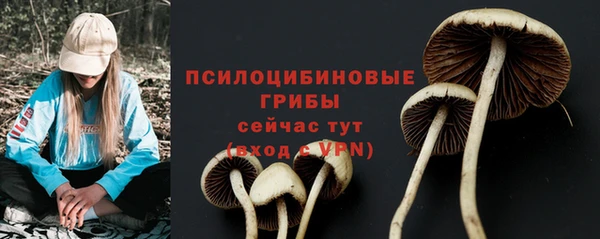 jwh Богородск