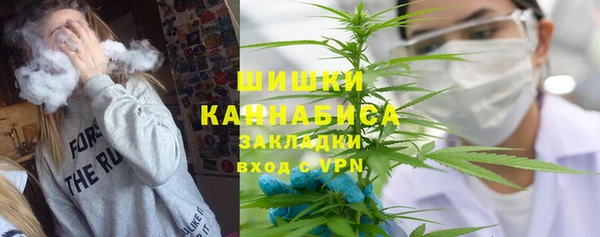 сатива Богданович
