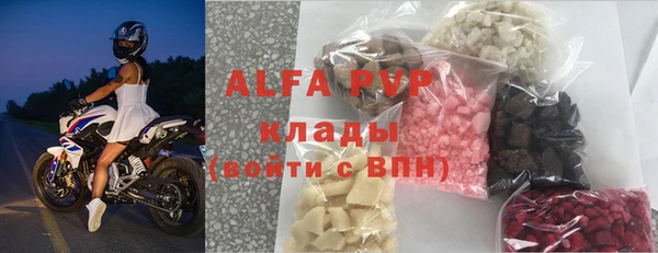 сатива Богданович